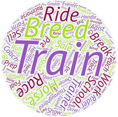 A Survey-Based Investigation of Human Factors Associated With Transport Related Injuries in Horses